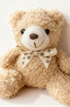 Cute Curly Fur Teddy Bear Keychain-Plush Toy pendent