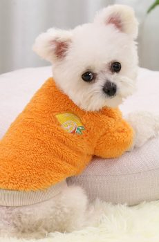 Pet Fleece Sweatshirt: Cute Fruit Embroidery Warm Coat