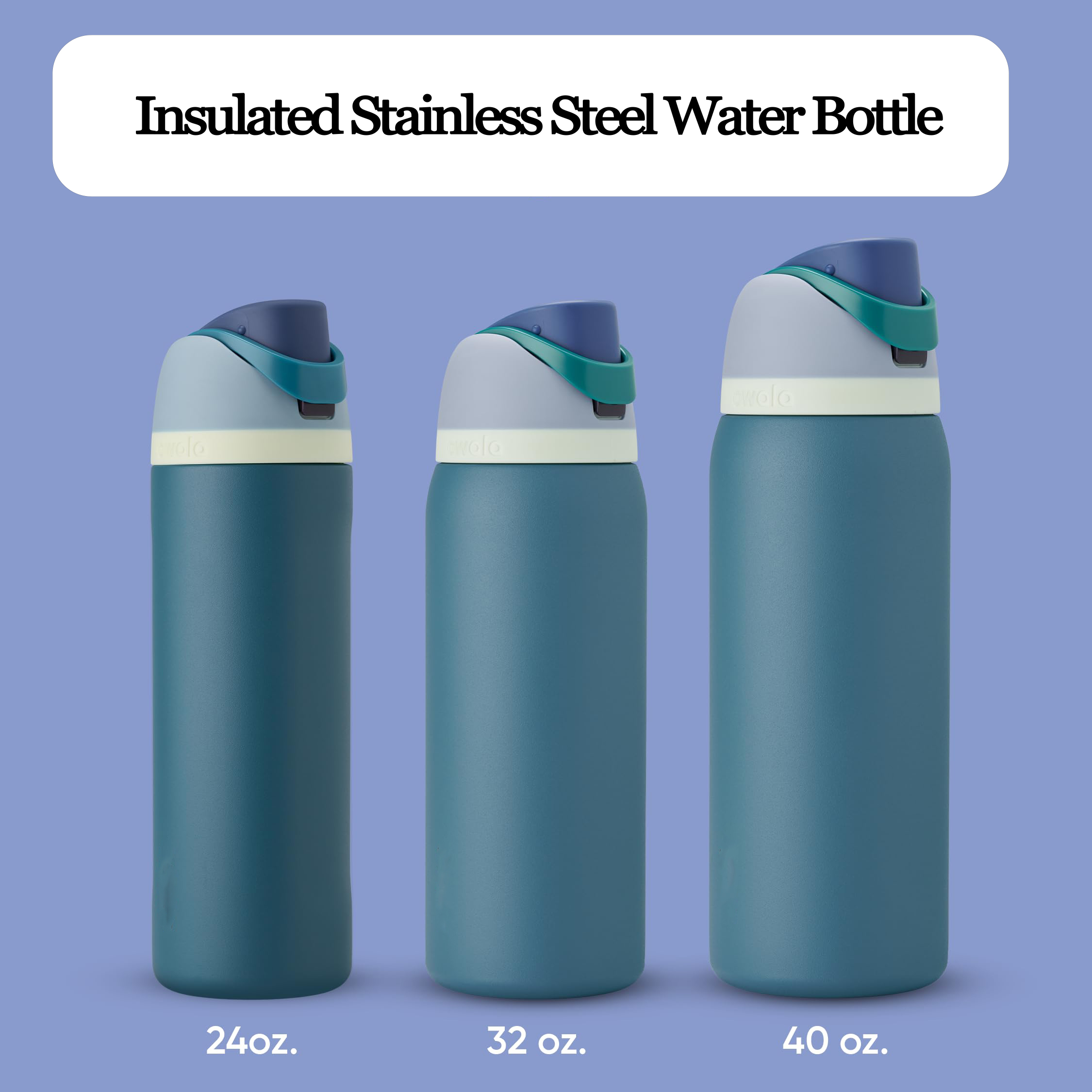 Stainless Steel Insulated Water Bottle with Straw