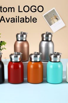 Stainless Steel Mini Insulated Water Bottle